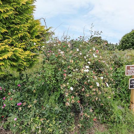 Seaview-Barsloisnach Cottage Kilmartin 外观 照片